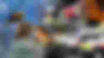 Casualty Simulator Trainee