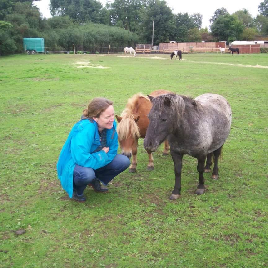 The Shetland Pony Welfare Trust