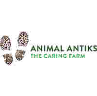 Animal Antiks