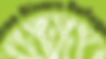 Fundraising Events Volunteer