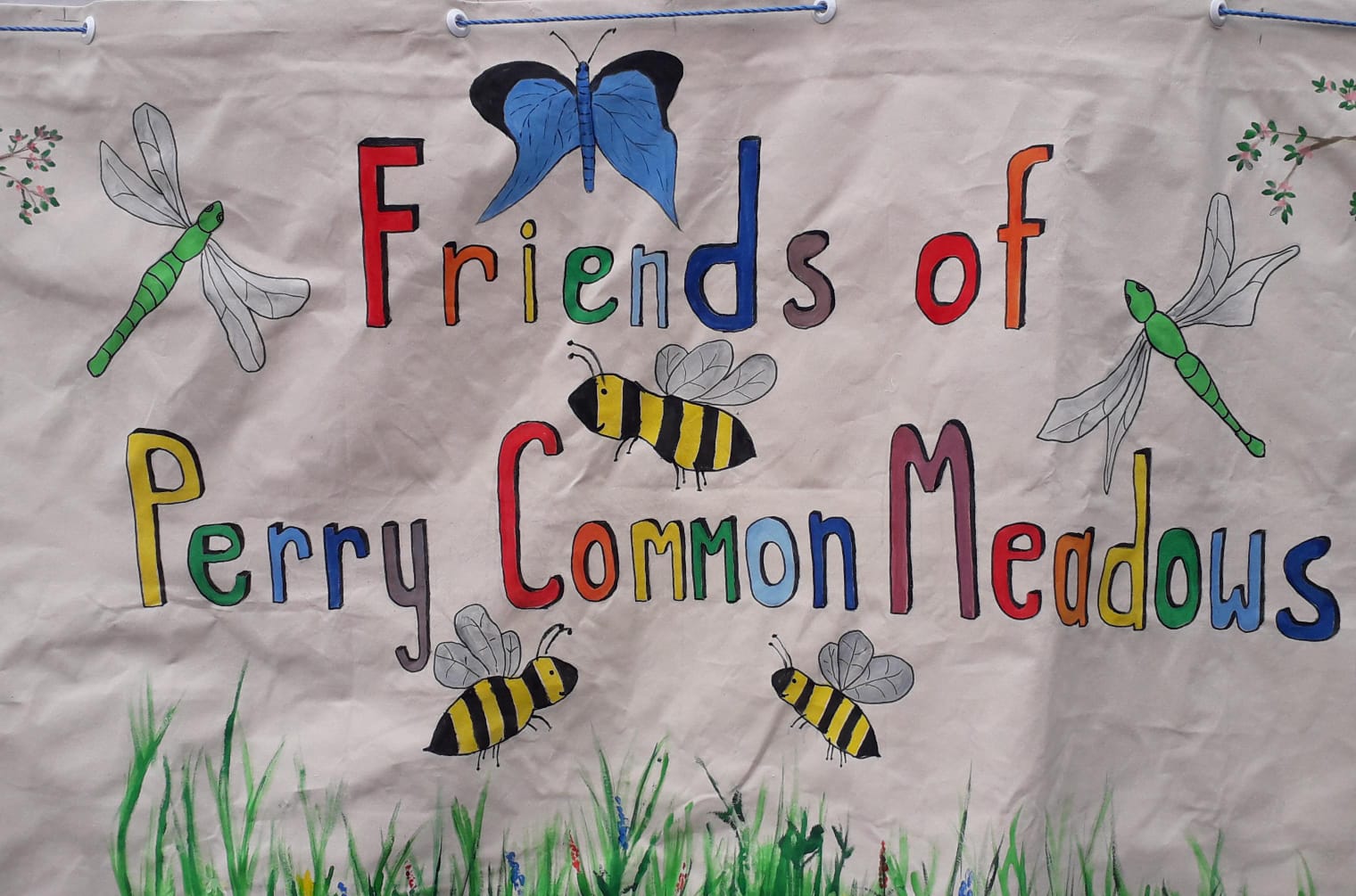 Friends of Perry Common Meadows