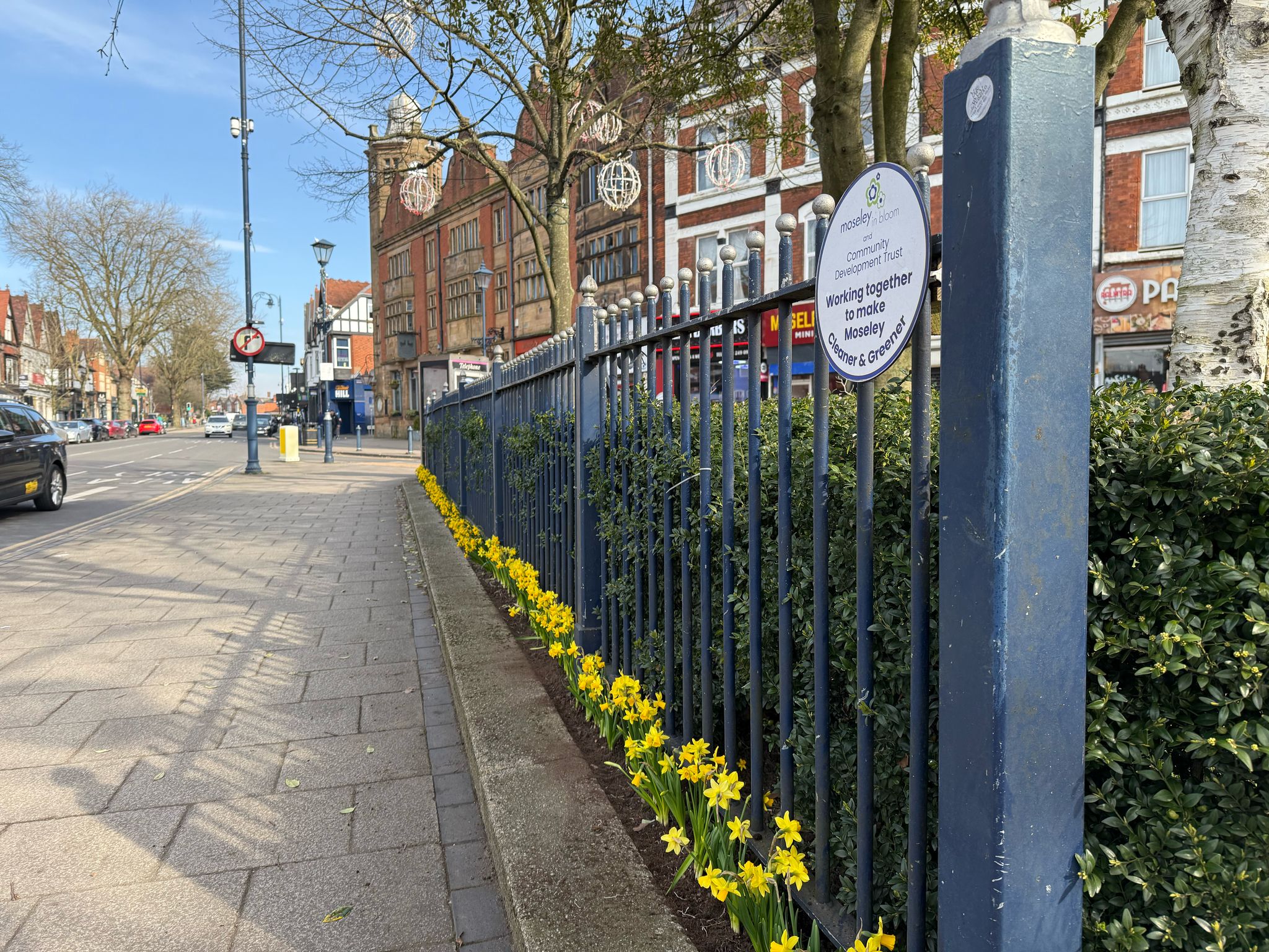 Moseley in Bloom