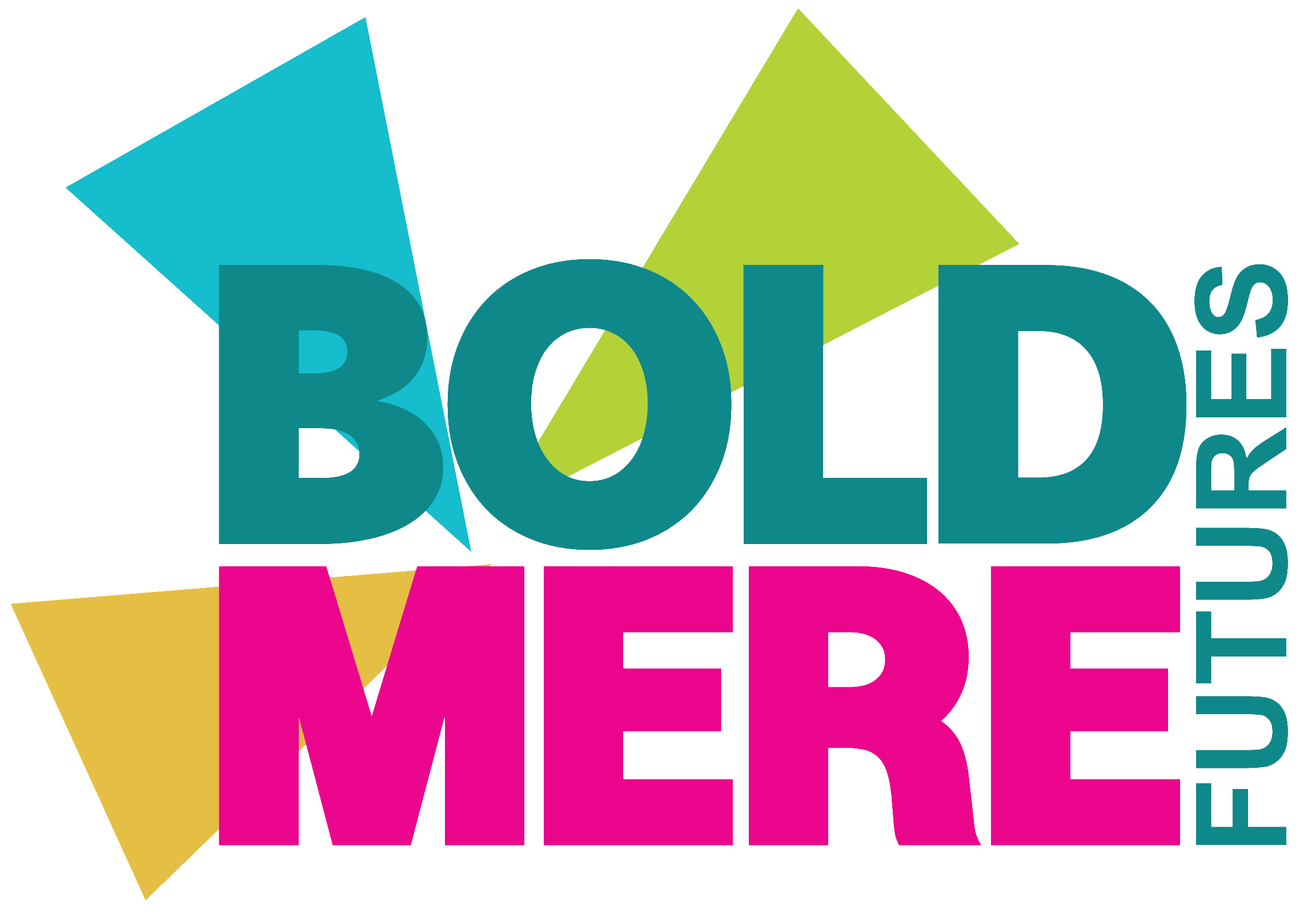 Boldmere Futures CIC & Boldmere Festivals