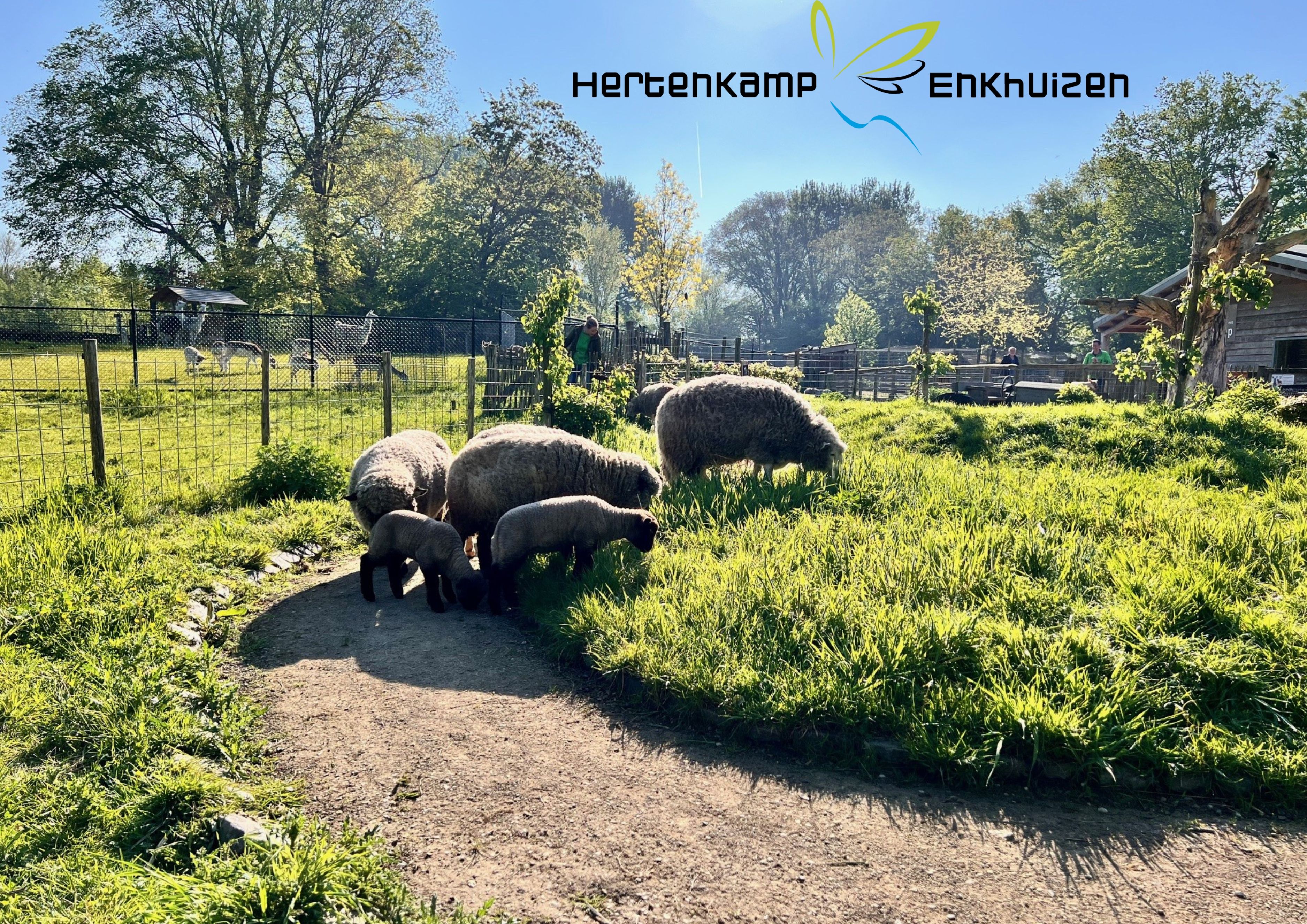 Bestuursvoorzitter gezocht