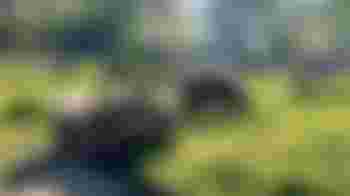 Bestuursvoorzitter gezocht