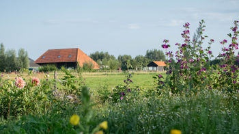 Vrijwilliger vervoer