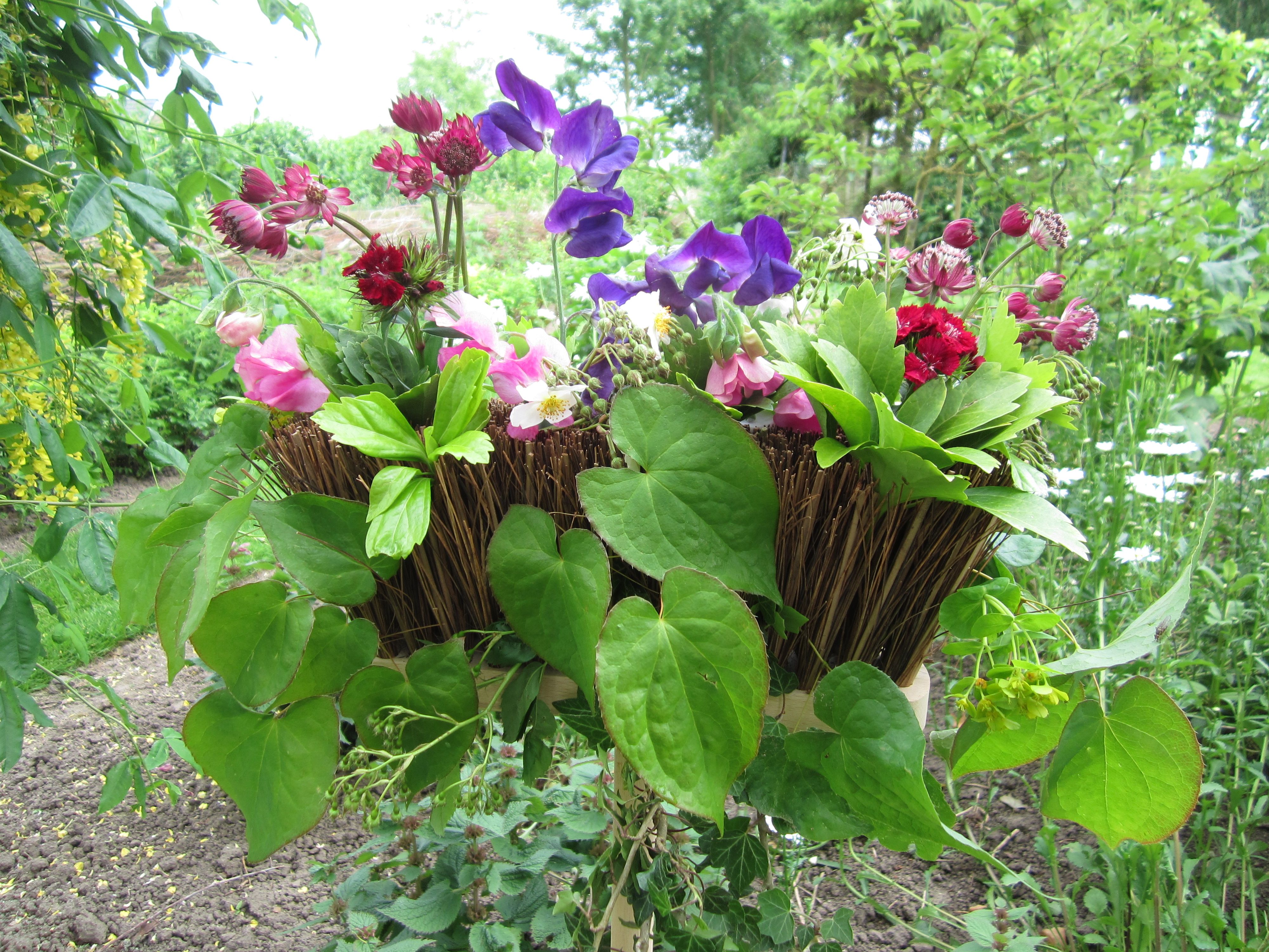 Groei&Bloei afd. Noord-Veluwe
