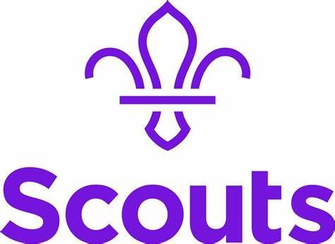 Scout section Volunteer