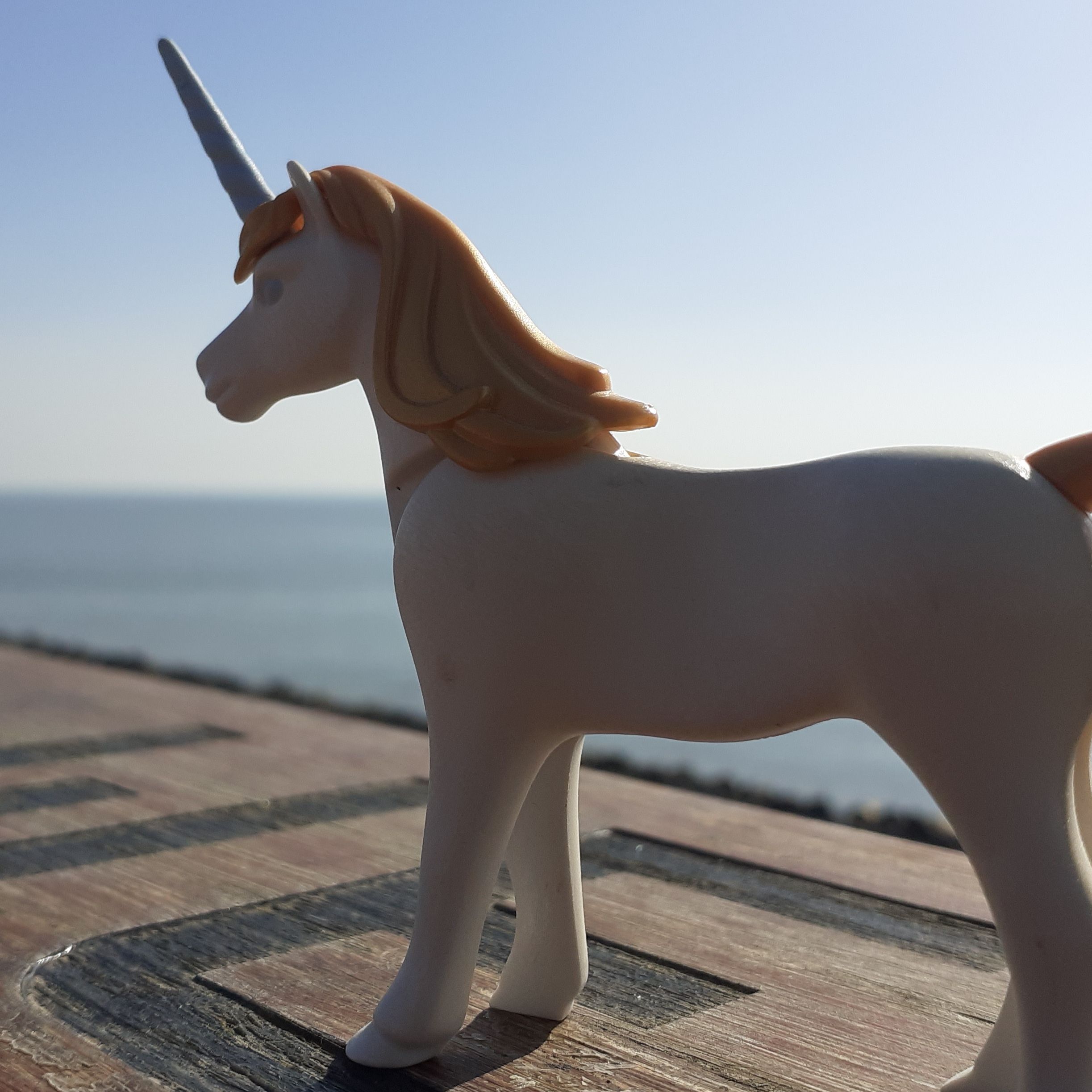 Filosofie Café Kersenboogerd