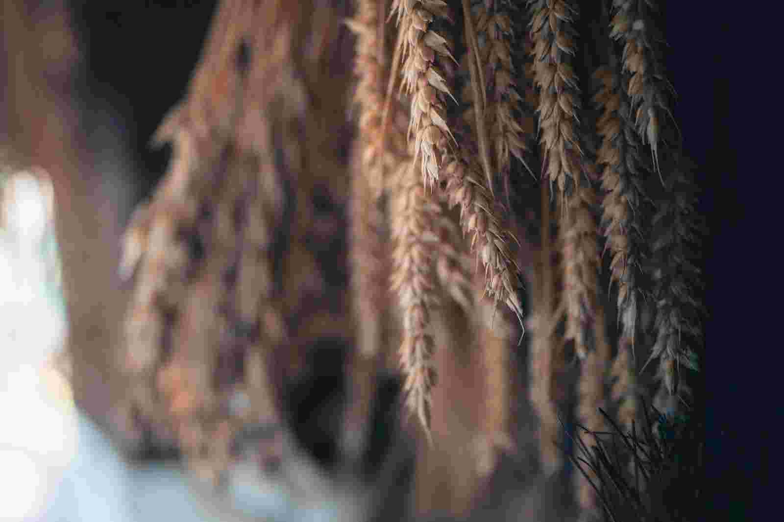 Korenmolen de Vriendschap