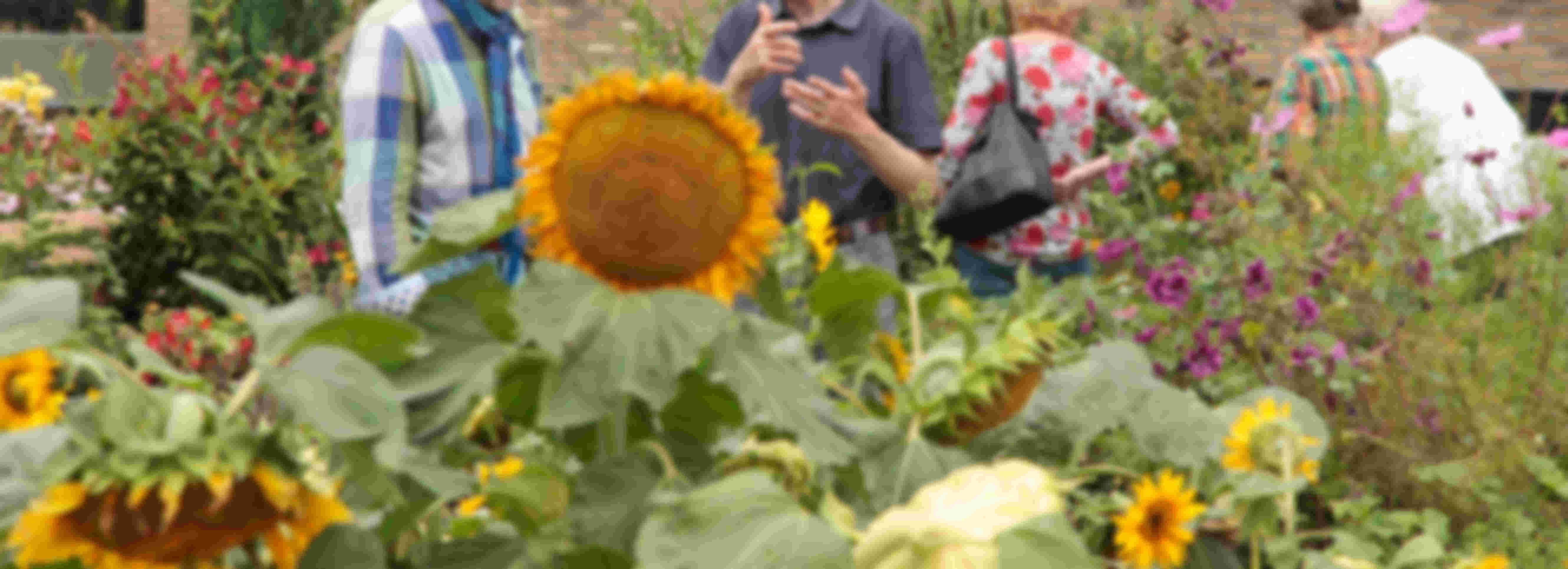Renovatie moestuinbakken Buurttuin De Heeze