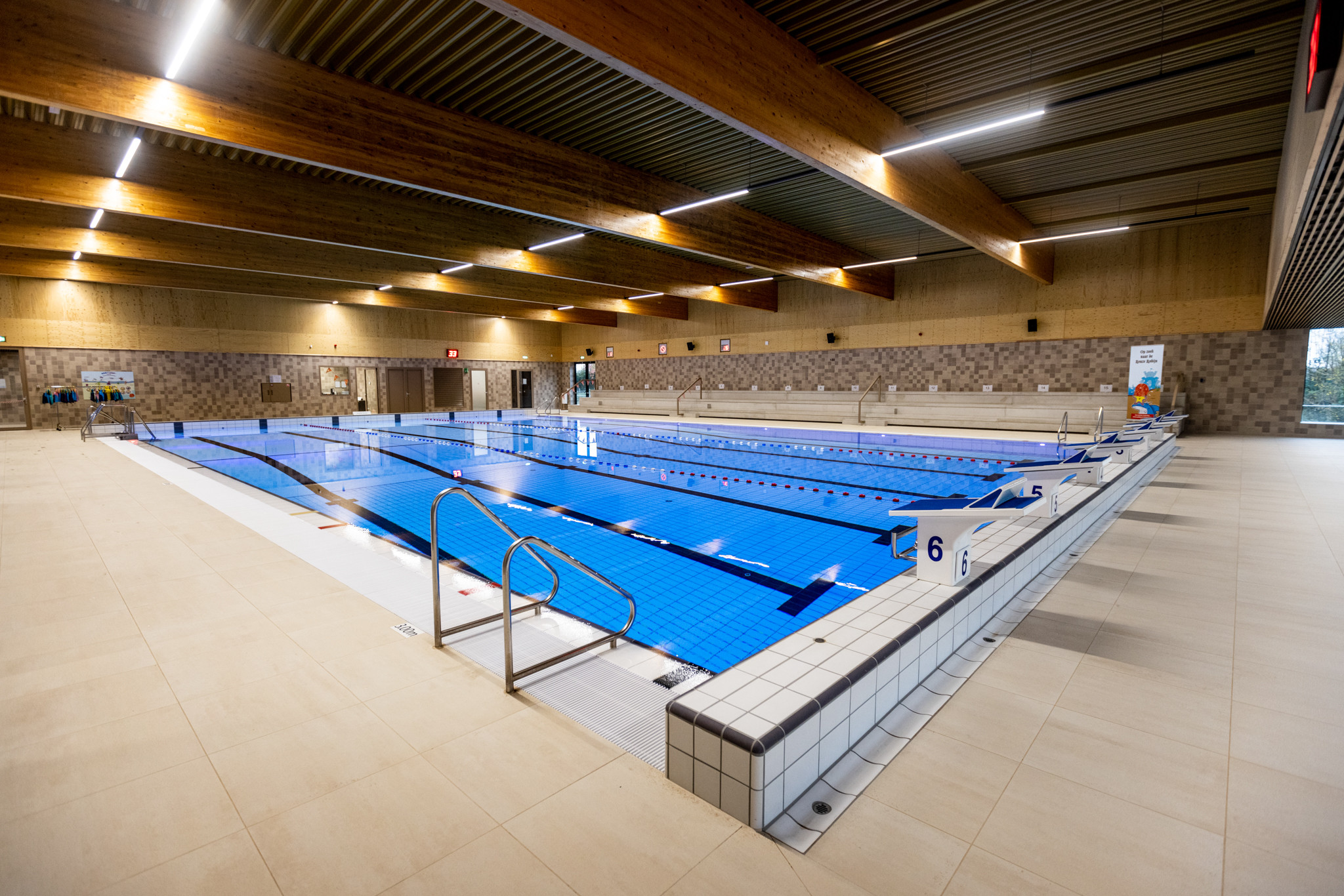 Train(st)er Elementair Zwemmen