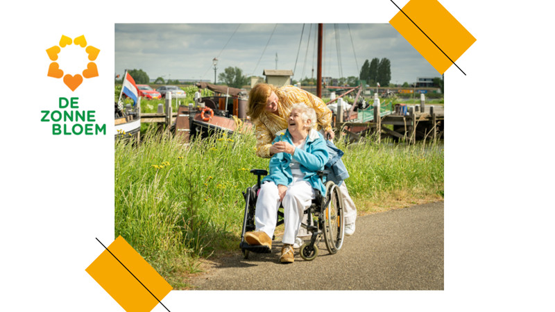 Zonnebloem regio Flevolpolder