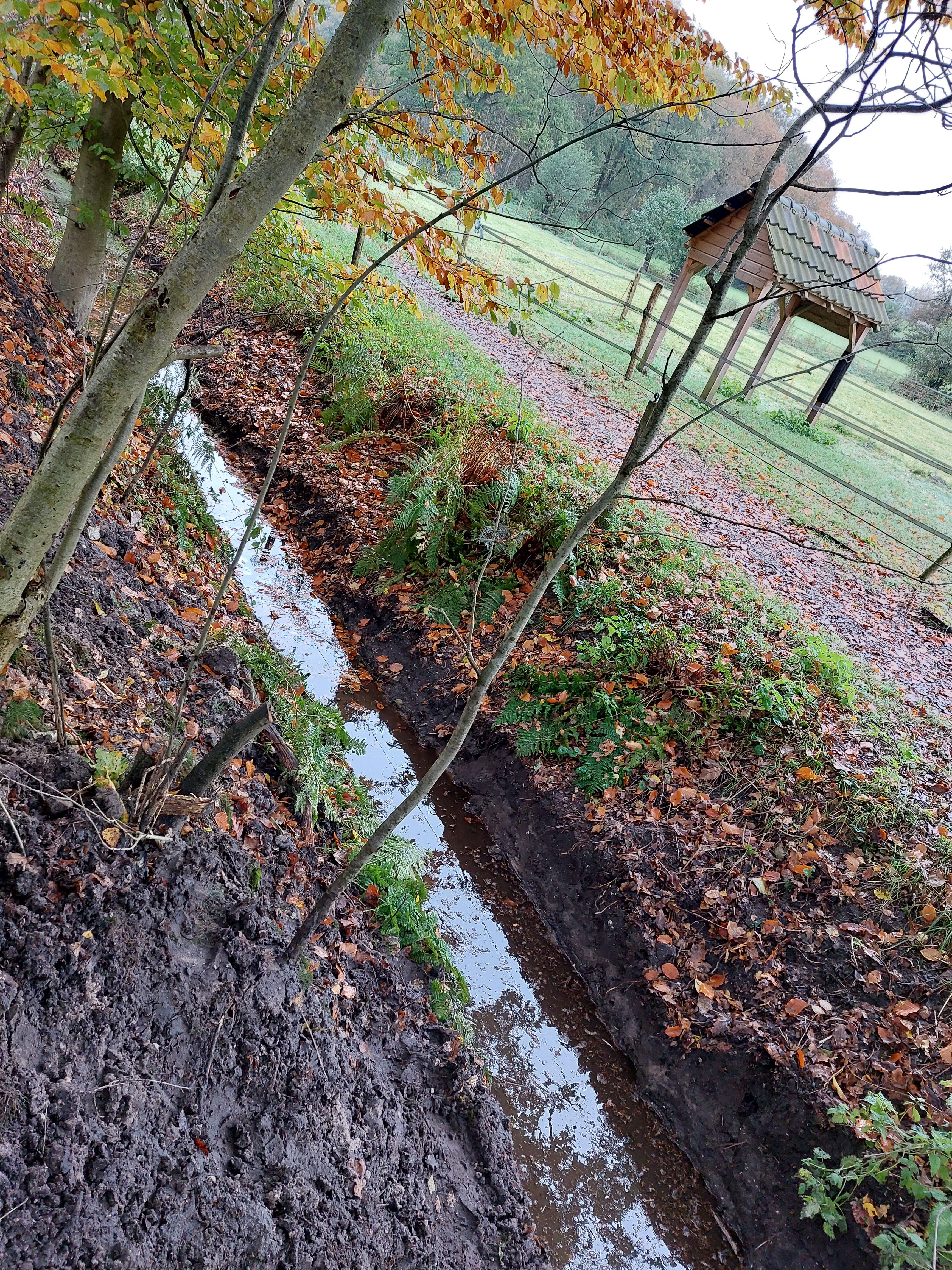 Landgoedwerkgroep De Kamp