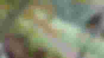 Vrijwilliger werkgroep op De Kamp in Heelsum