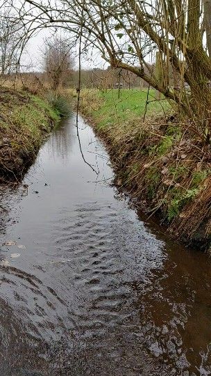 Landgoedwerkgroep De Kamp