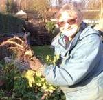 Lovely Grub Community Garden
