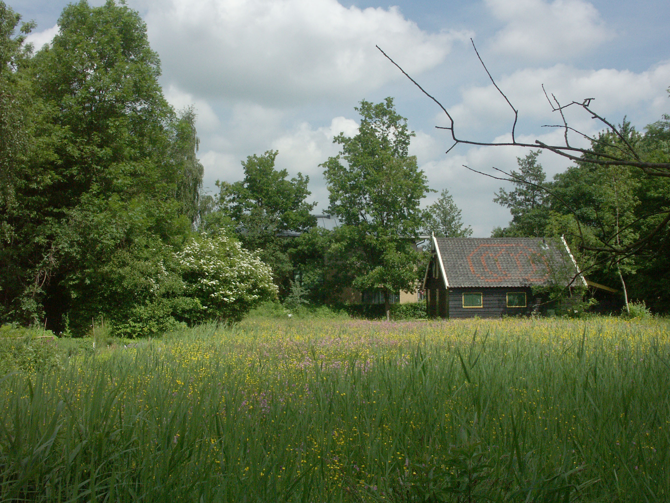 Razende reporter met een groen hart