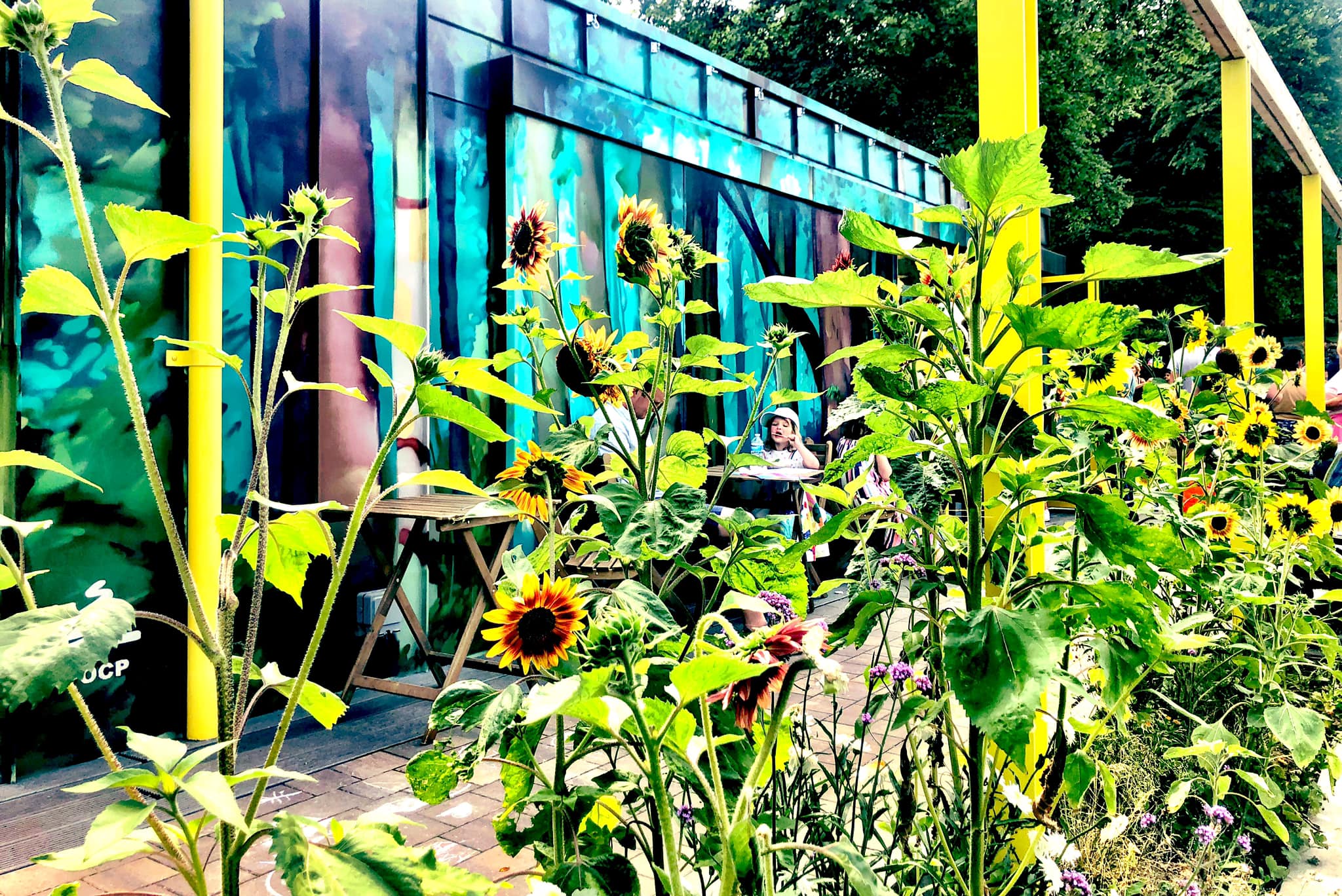 Friends of Cotteridge Park