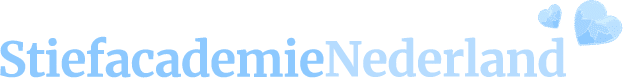 Stichting Stiefacademie Nederland