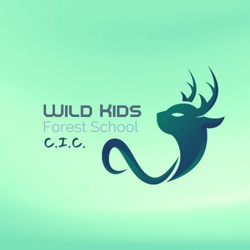 Wild Kids Forest School CIC