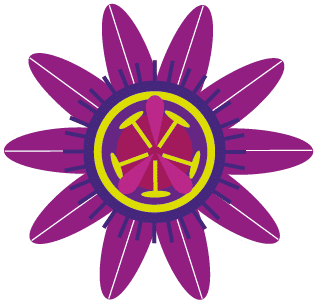 Bethel Health and  Healing Network