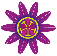 Bethel Health and Healing Network