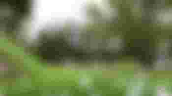 Vacature bestuurslid Cultuurfonds Culemborg