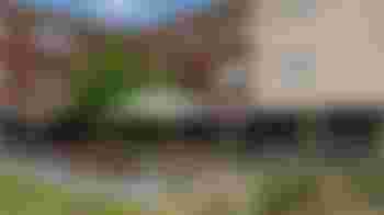 Kom wandelen bij Villa Bos en Heide!