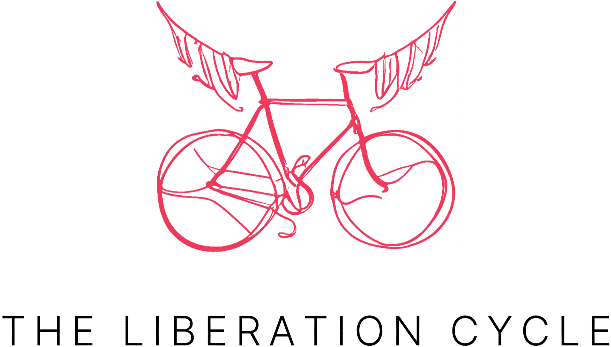 THE LIBERATION CYCLE | VolunteerCambs!