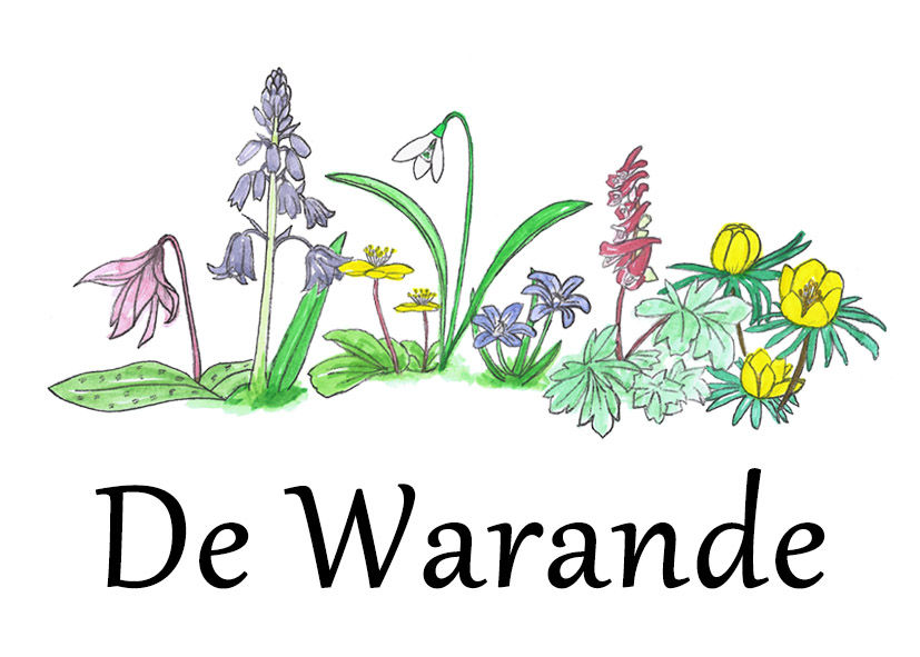 De Warande