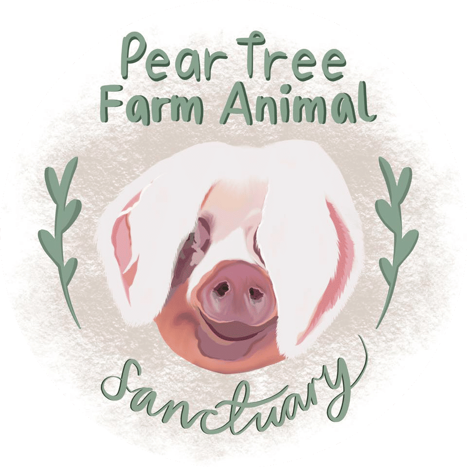 Pear Tree Farm Animal Sanctuary