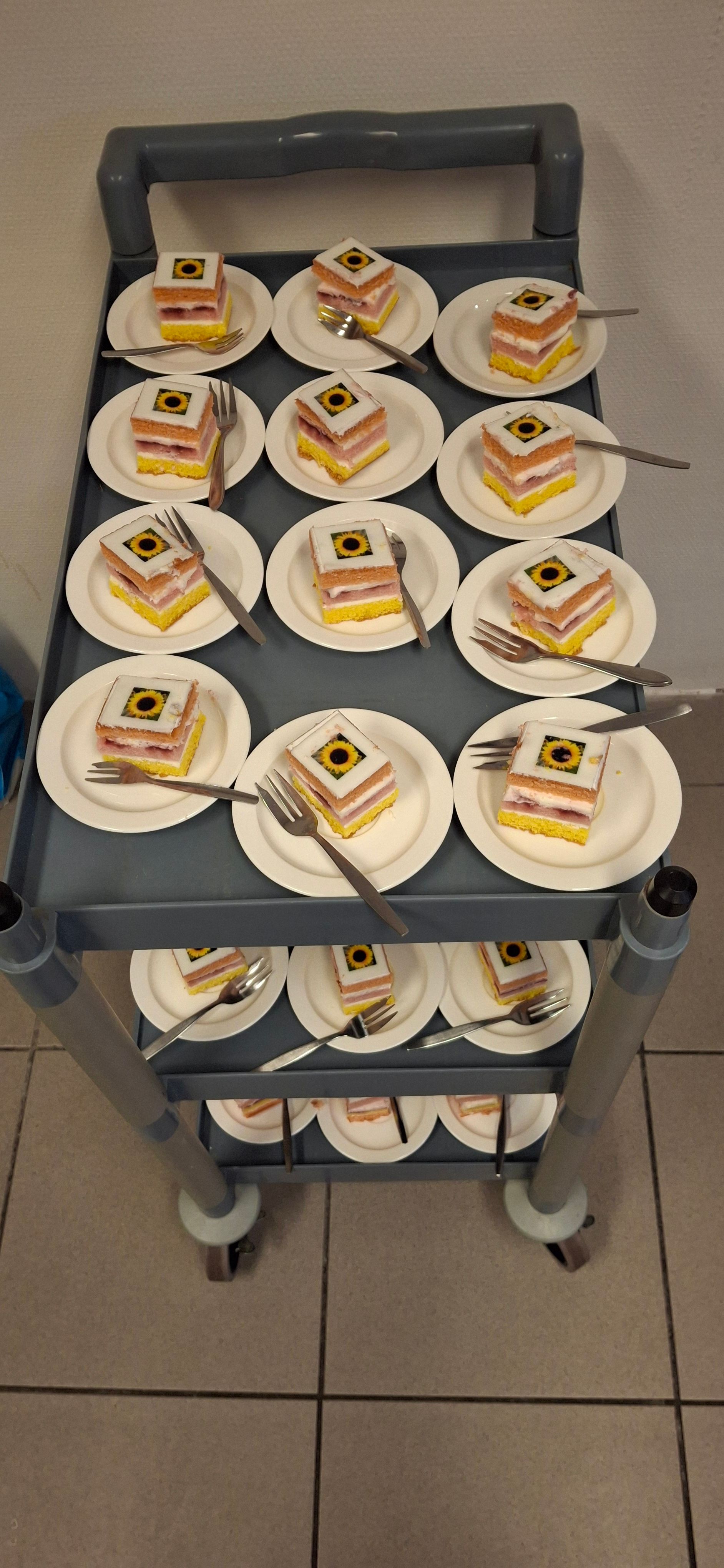 Zonnebloem Apeldoorn Noord