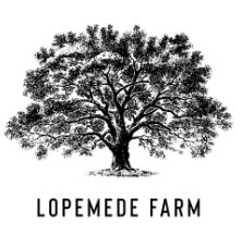 Slow Food Earth Market