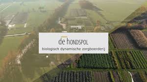 De Hondspol