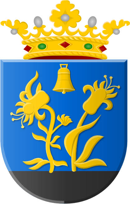 Vereniging Wijkraad Hoogkerk (VWH)
