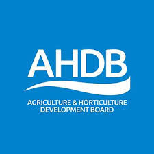 AHDB Media Relations Ream