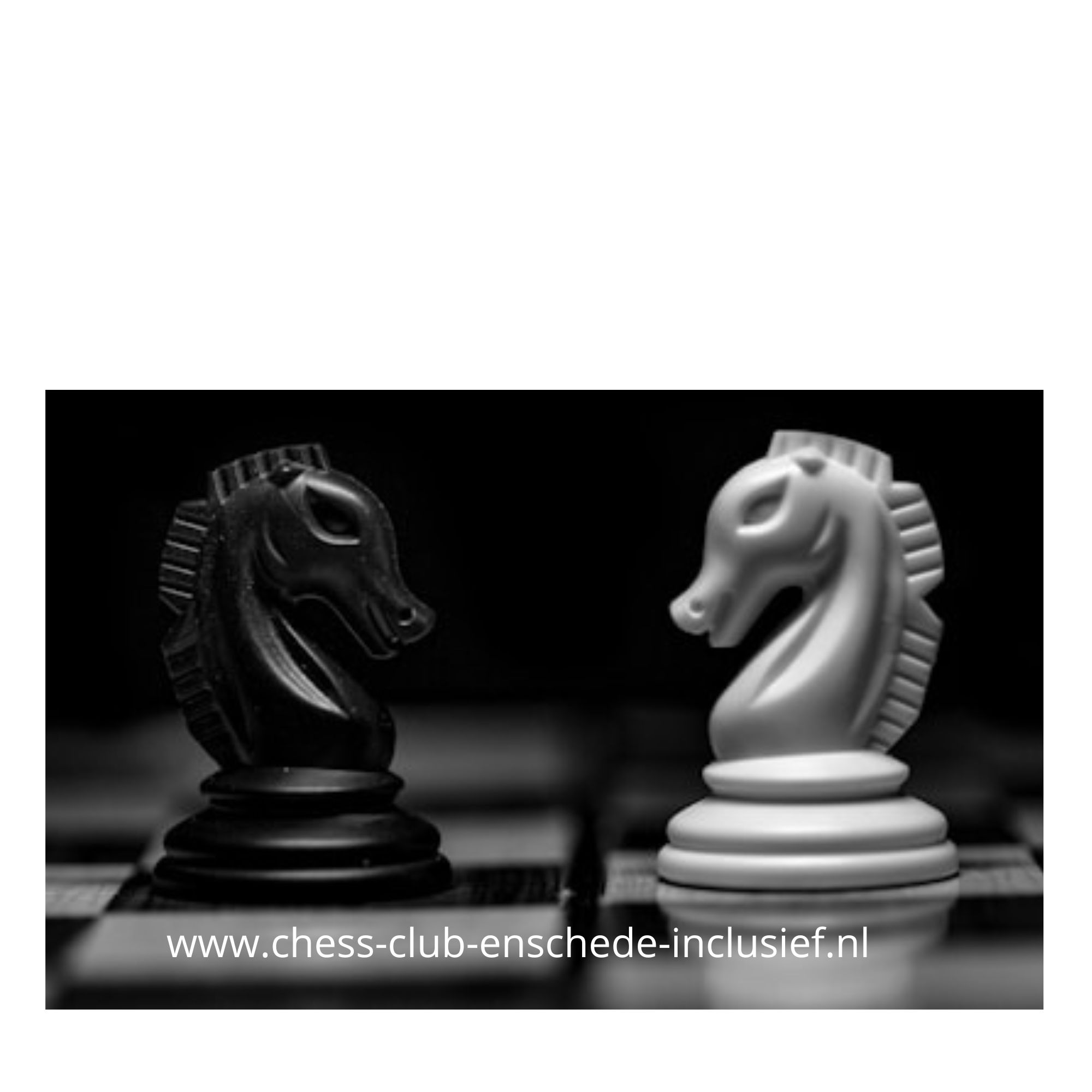 Chess Club Enschede Inclusief