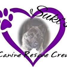 Suki's Canine Rescue Crew CIC
