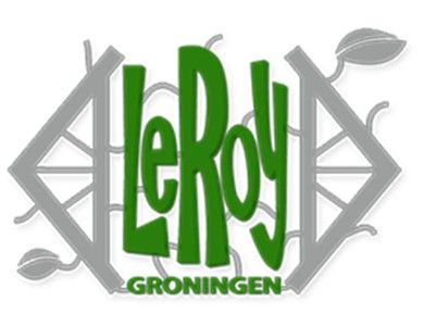 Stichting LeRoy Groningen