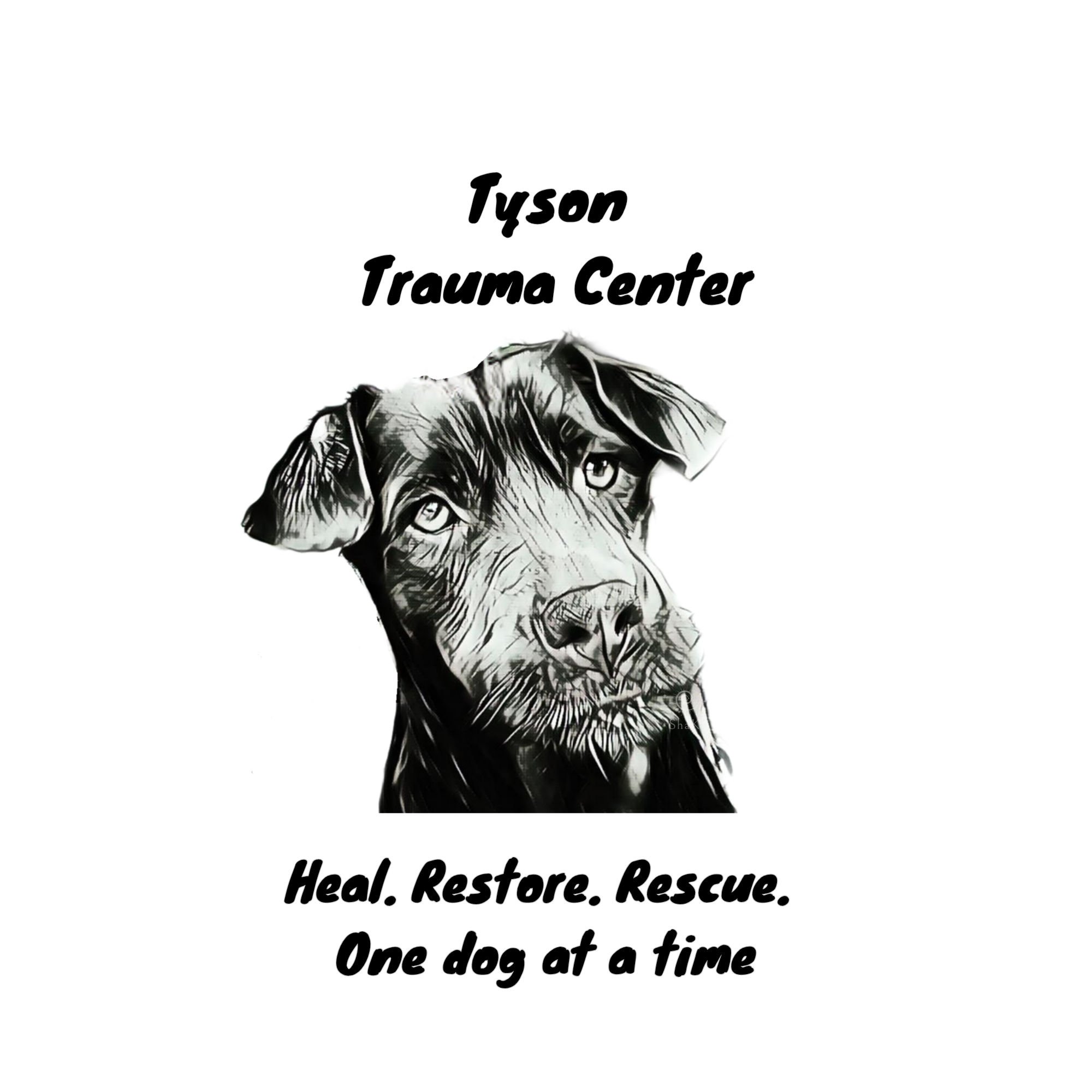 Tyson Trauma Center for Abused Dogs