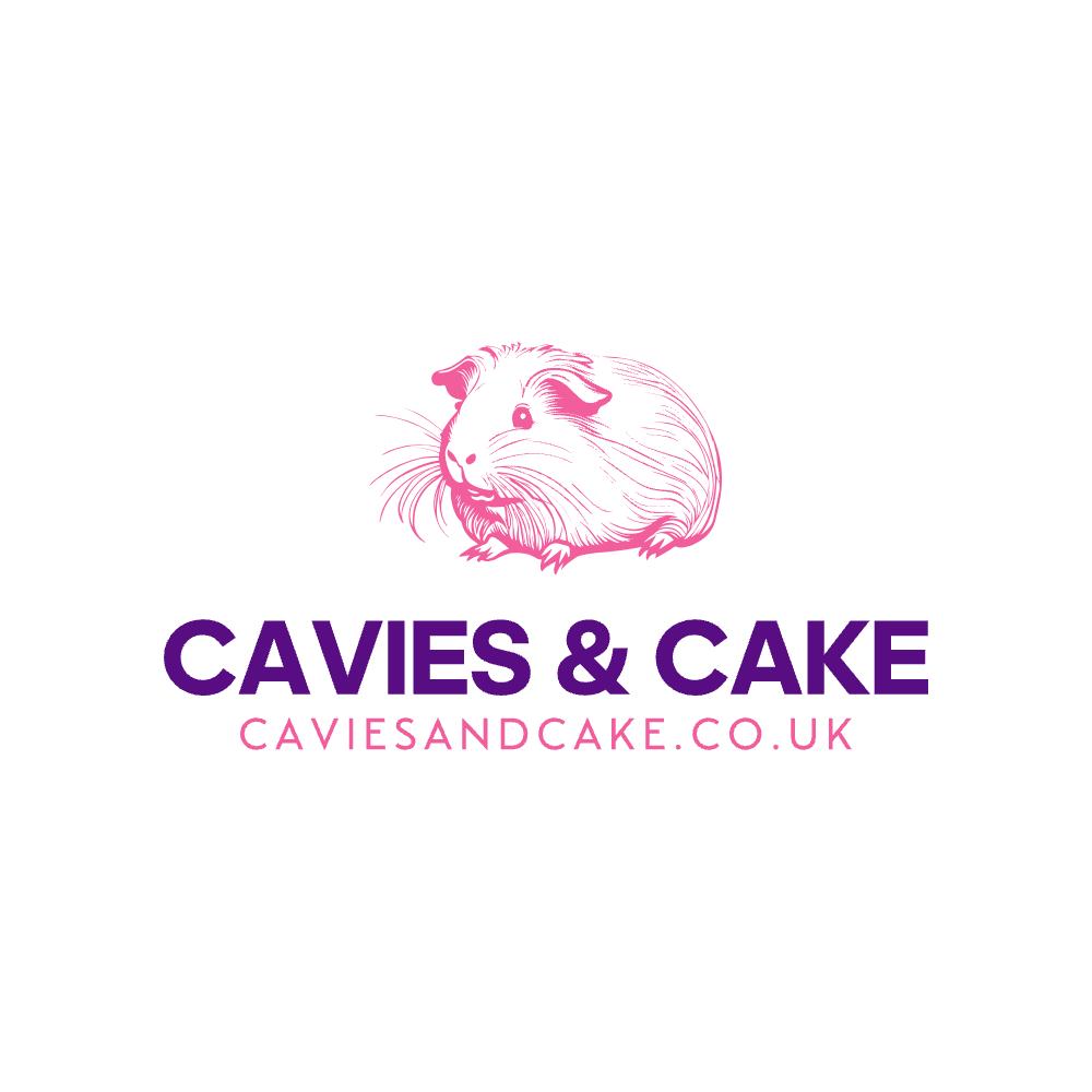 Cavies & Cake