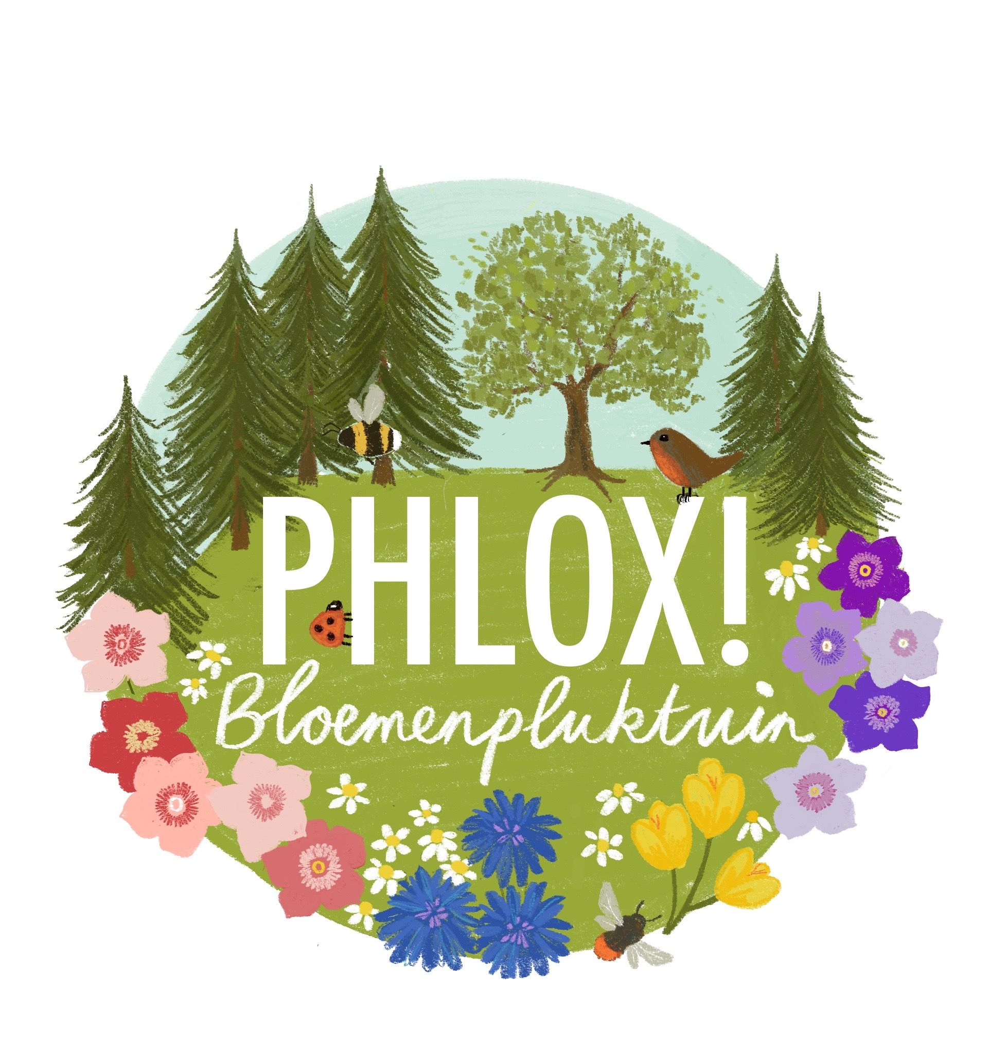 Bloemenpluktuin Phlox!