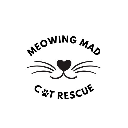 Meowing Mad Cat Rescue