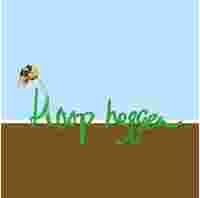 HoopHeggen Team Flevoland