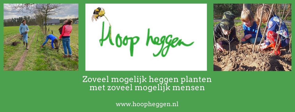 HoopHeggen Team Flevoland