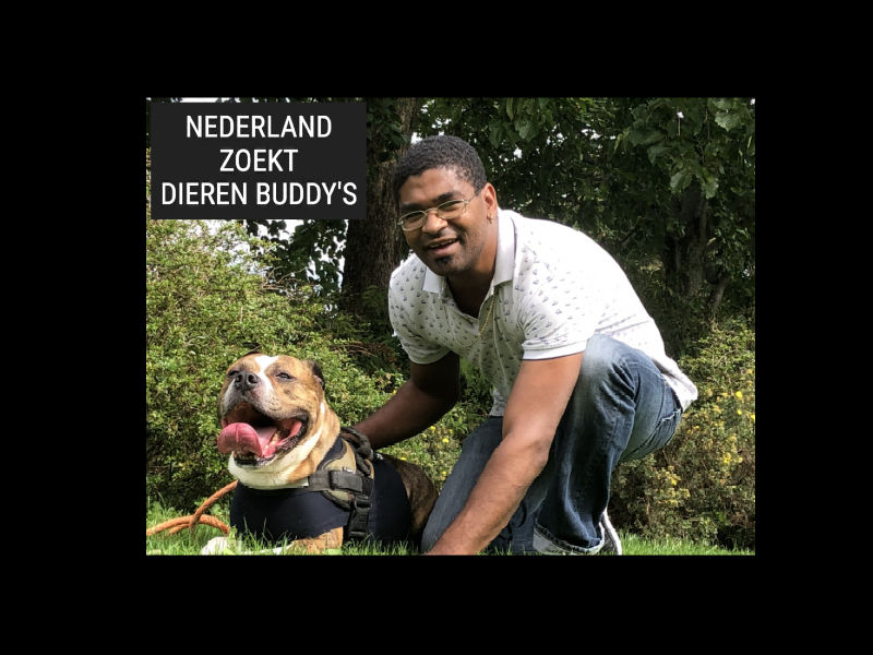 Dierenbuddy's gezocht en gastgezinnen in heel Nederland