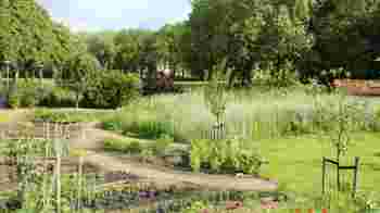 (Moes)tuinders gezocht voor de tuin van Eilandsteede