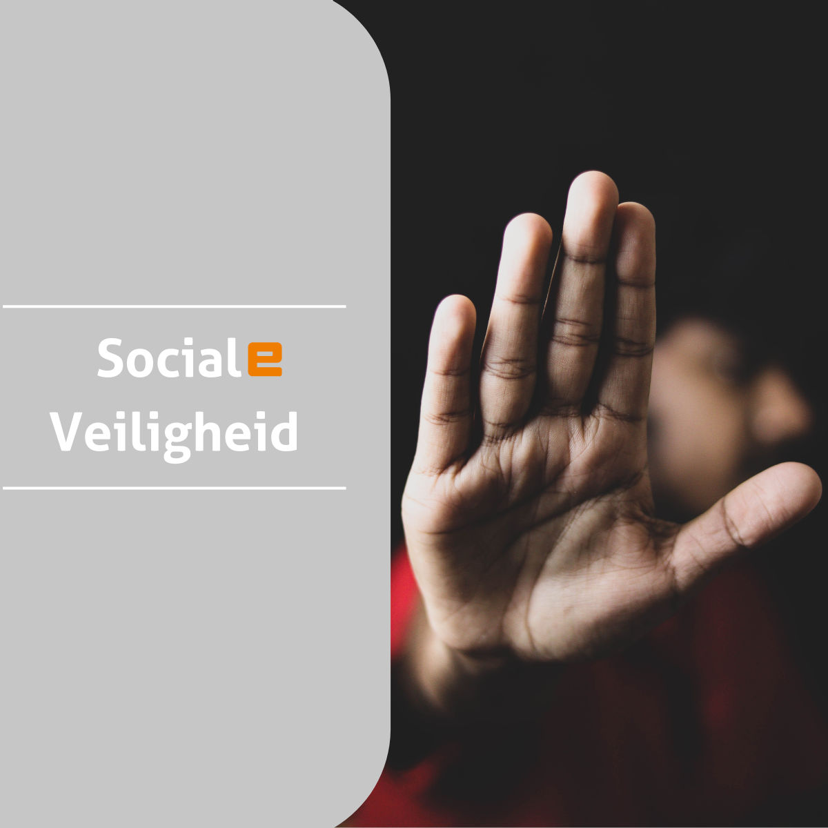 Sociale veiligheid 