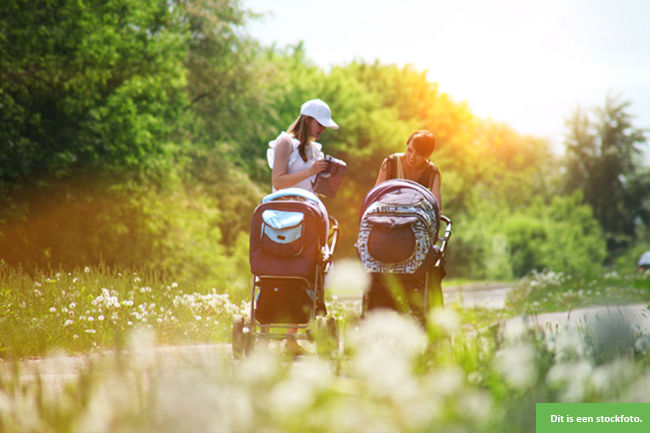 Wandel- en taalmaatje voor Egyptische moeder